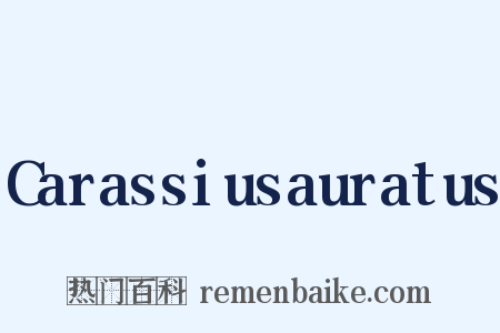 Carassiusauratus是什么意思的图片